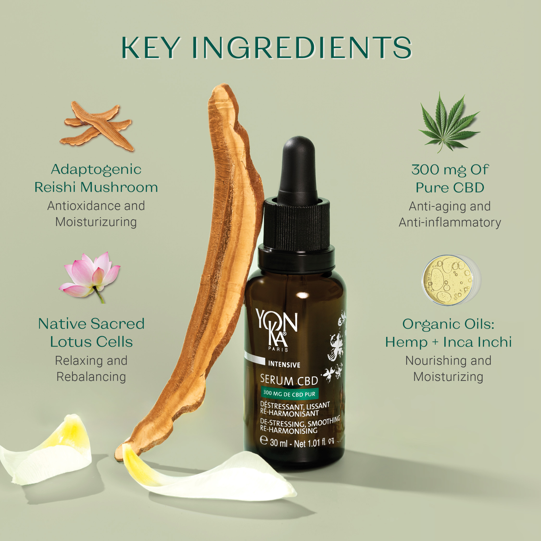 Serum CBD with a stunning Black Vanity Bag