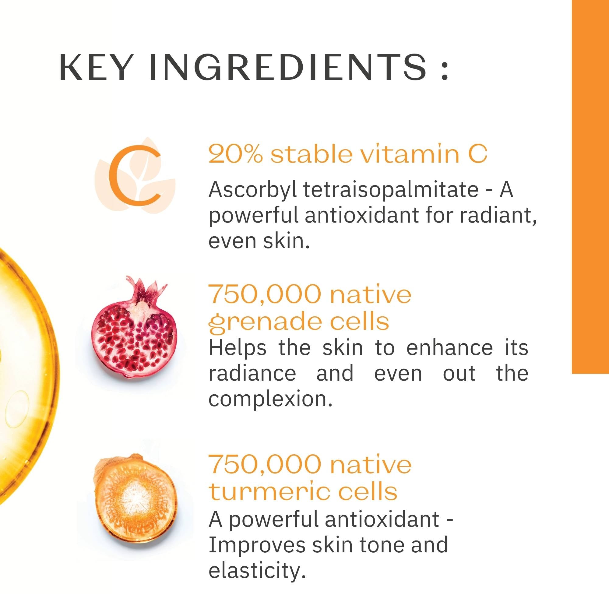 Serum C20 Vitamin C